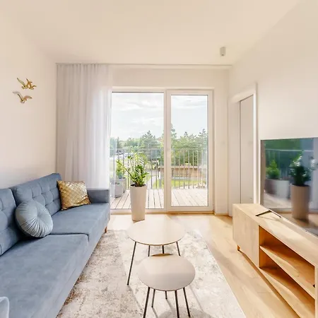 Sail Surfingbird Dzwirzyno