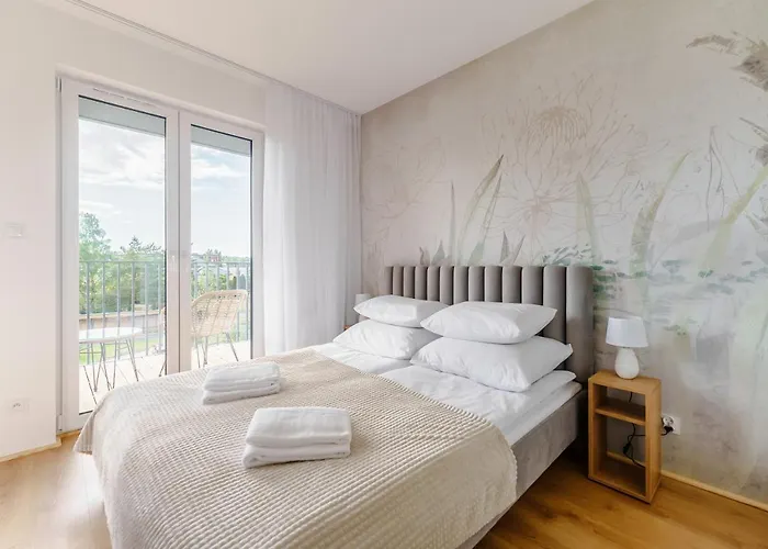 Sail Surfingbird Dźwirzyno