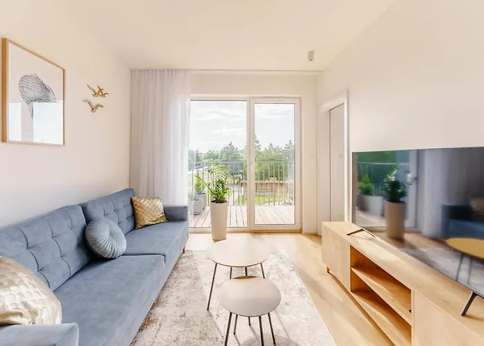 Sail Surfingbird Dźwirzyno